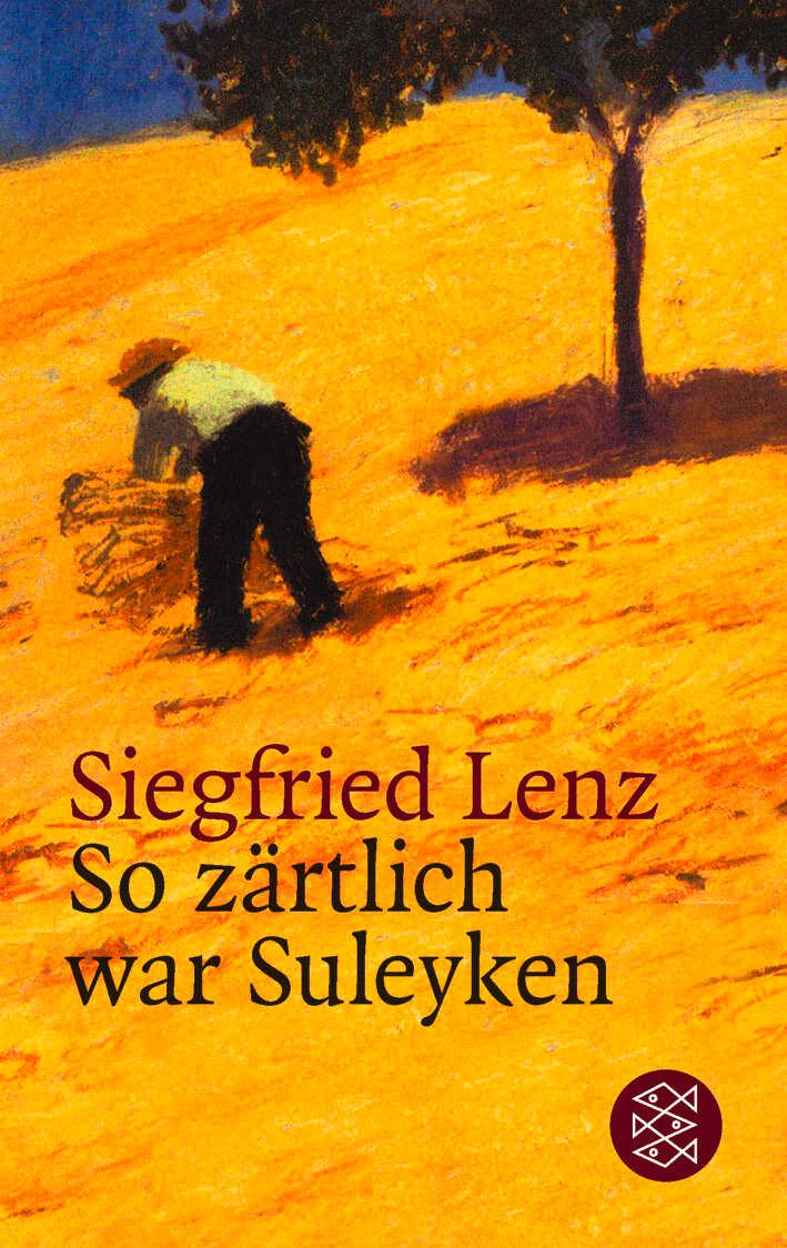 Vorderes Coverbild So zärtlich war Suleyken