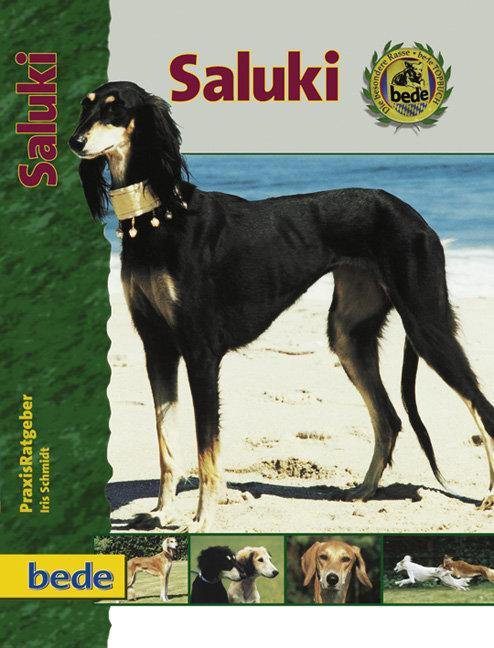 Vorderes Coverbild PraxisRatgeber Saluki