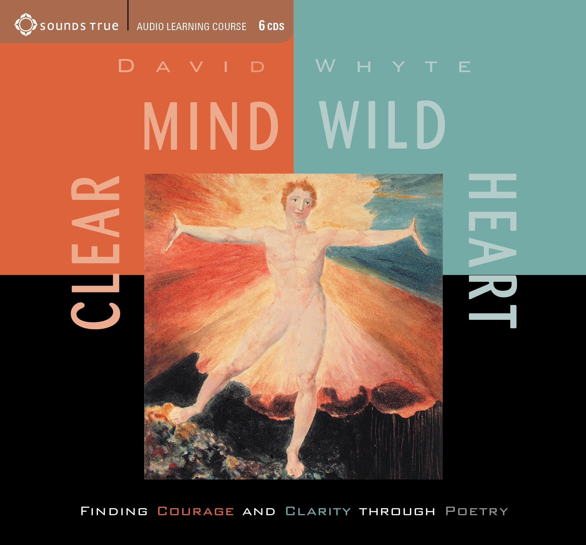 Vorderes Coverbild Clear Mind, Wild Heart: Finding Courage and Clarity Through Poetry