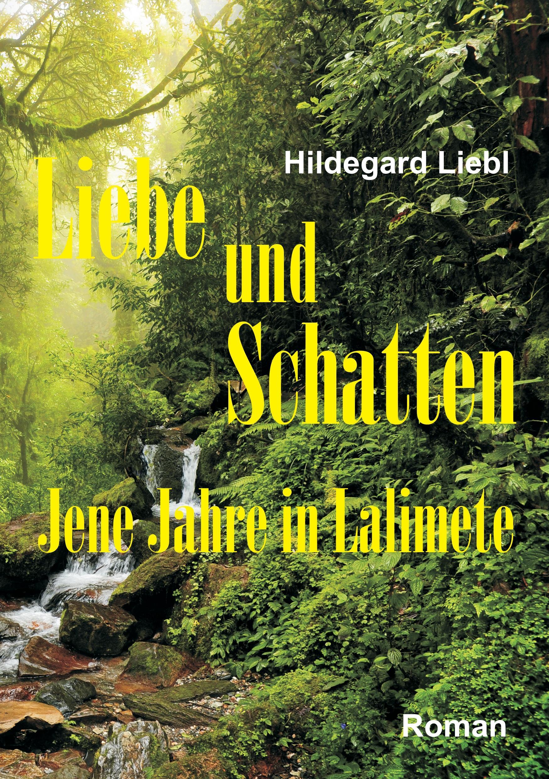 Vorderes Coverbild Liebe und Schatten