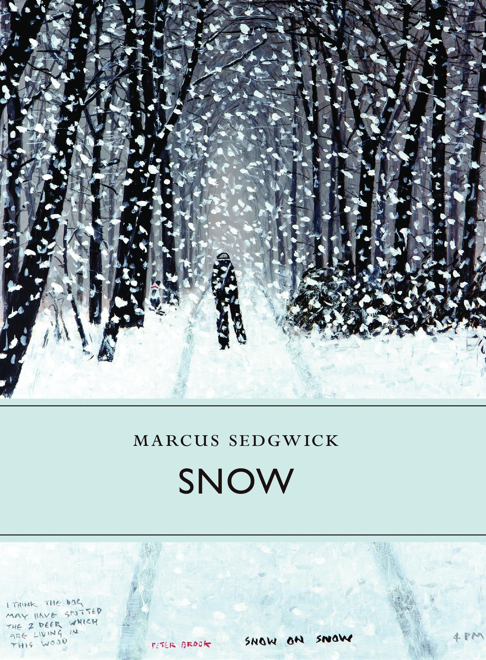 Vorderes Coverbild Snow