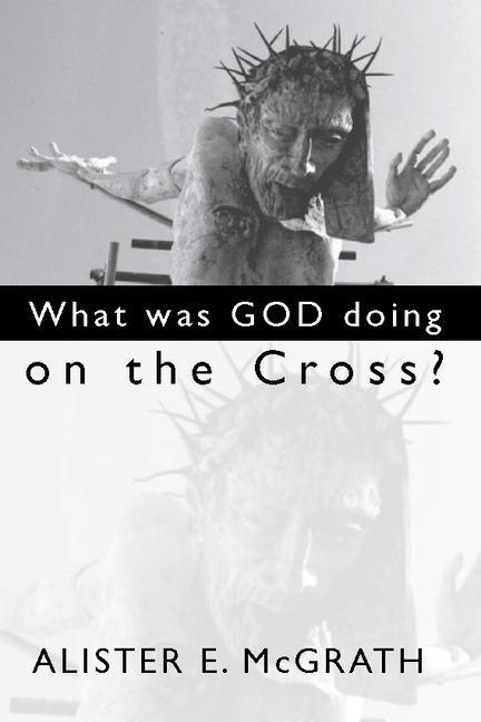 Vorderes Coverbild What Was God Doing on the Cross?