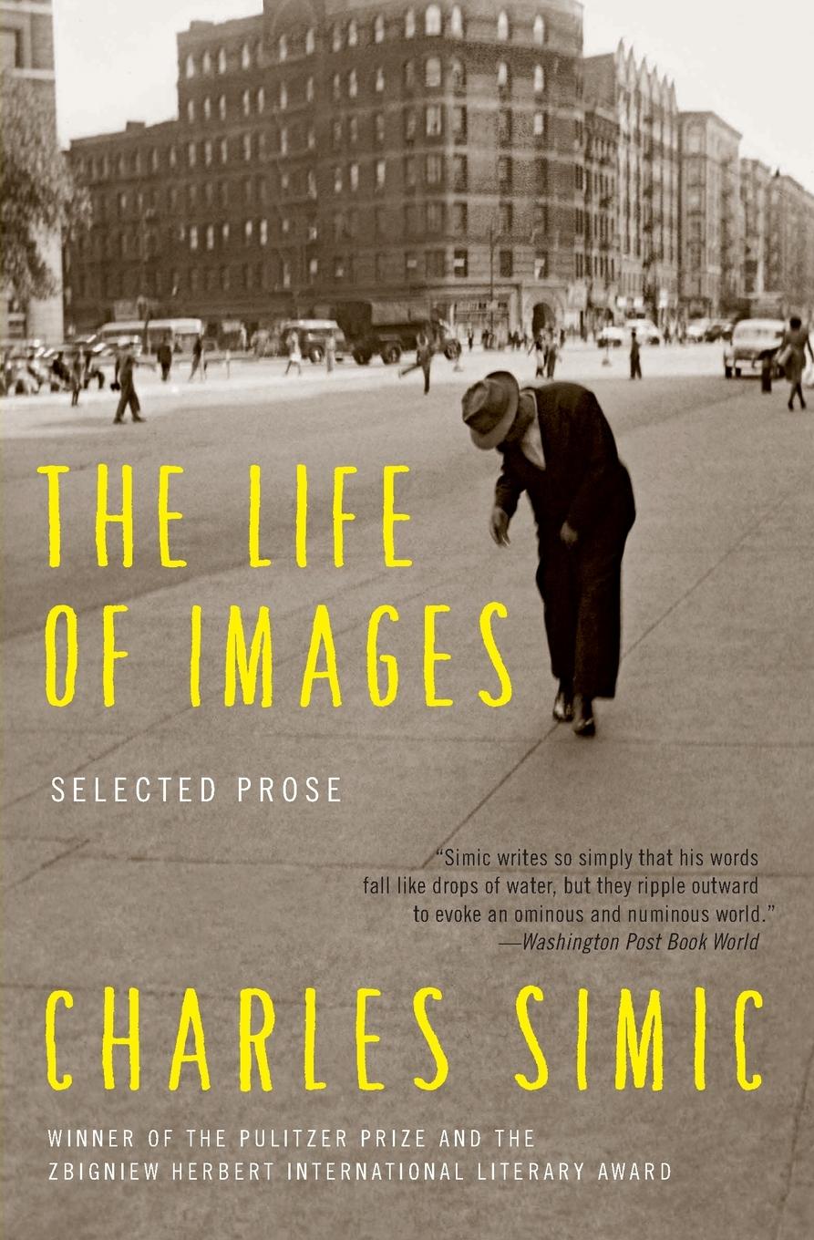 Vorderes Coverbild The Life of Images