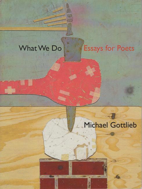 Vorderes Coverbild What We Do