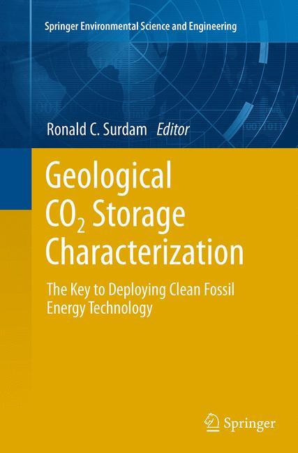 Vorderes Coverbild Geological CO2 Storage Characterization