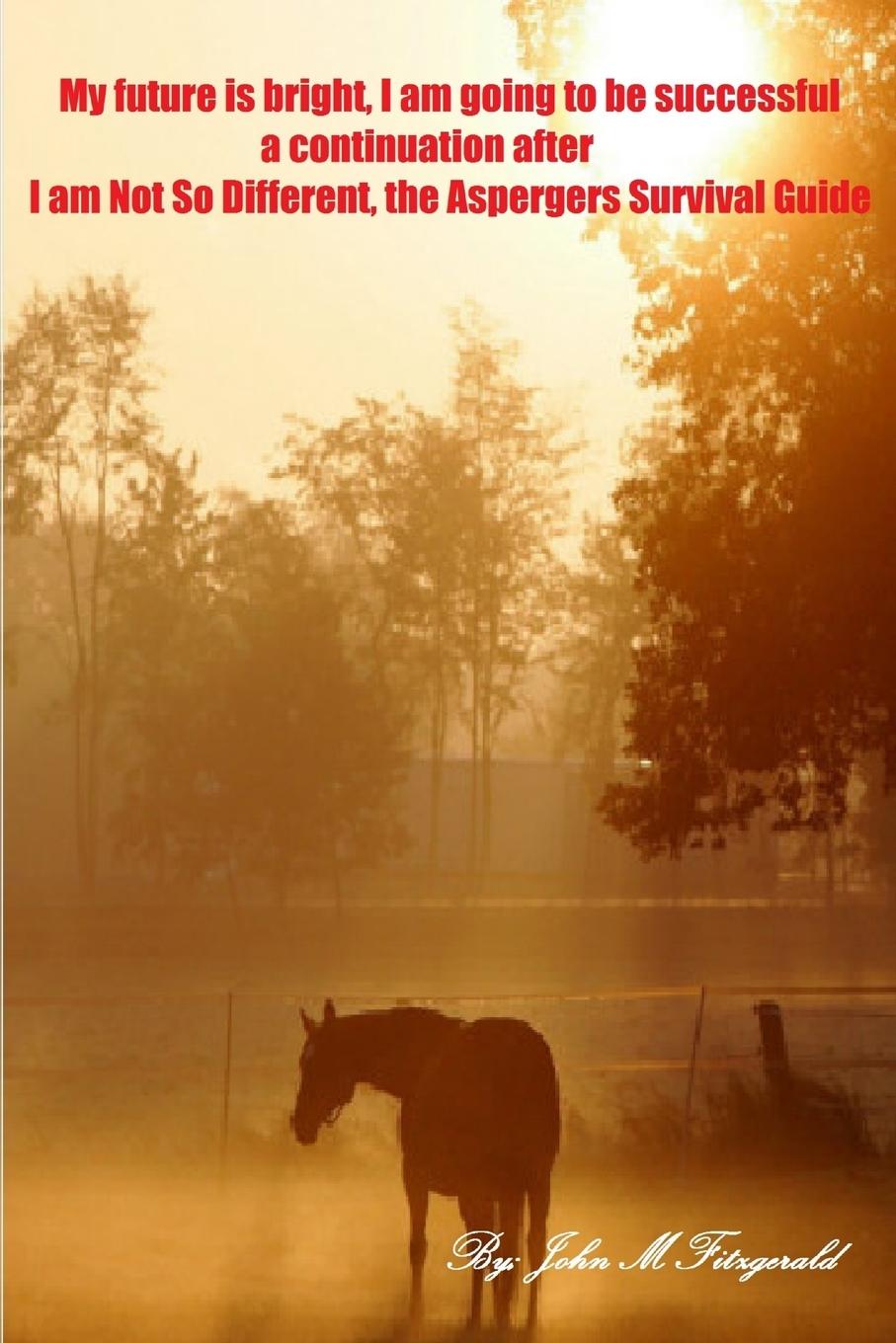 Vorderes Coverbild My future is bright; I am going to be successful. A continuation of I am Not So Different, the Aspergers Survival Guide