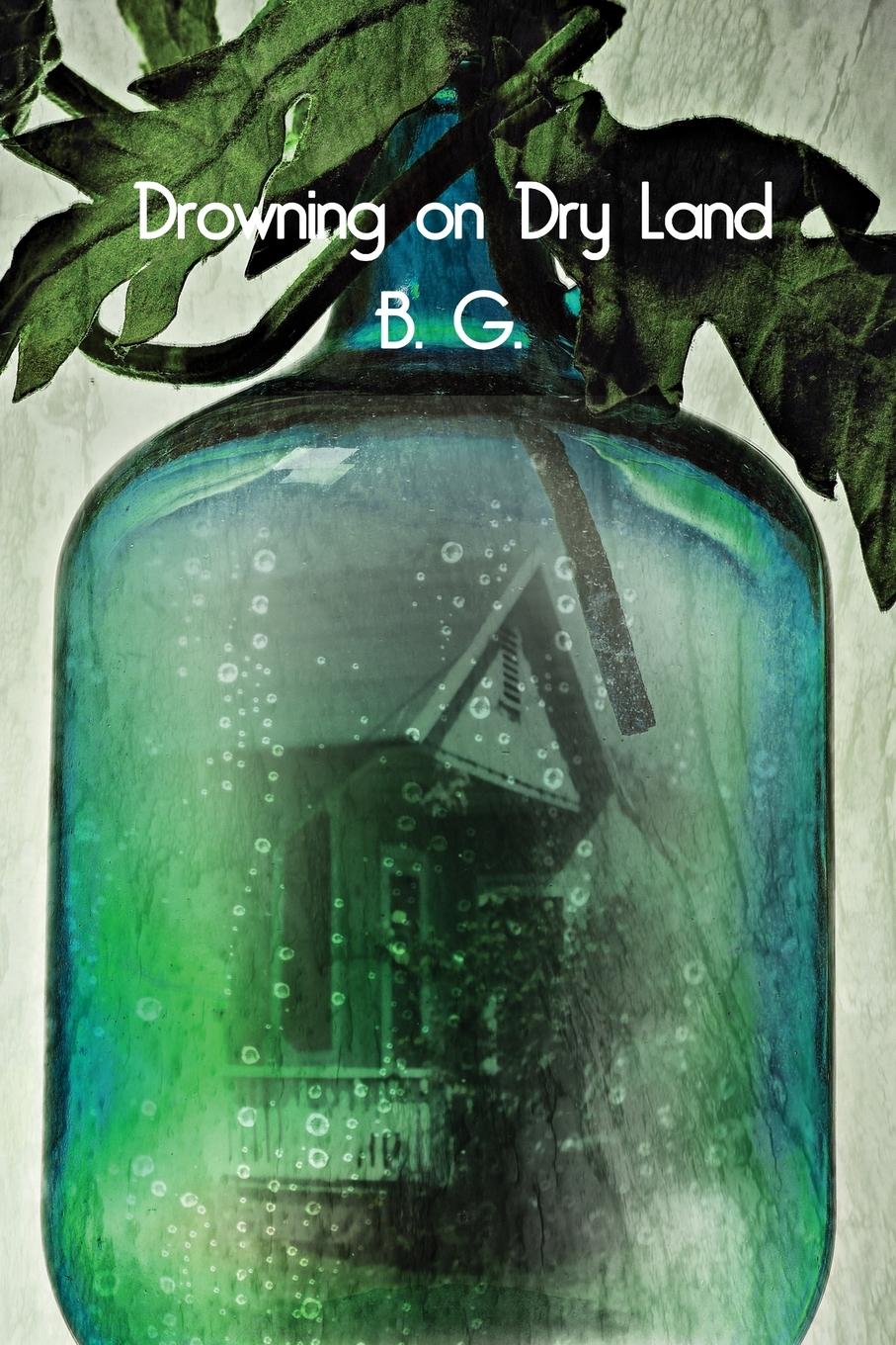 Vorderes Coverbild Drowning on Dry Land