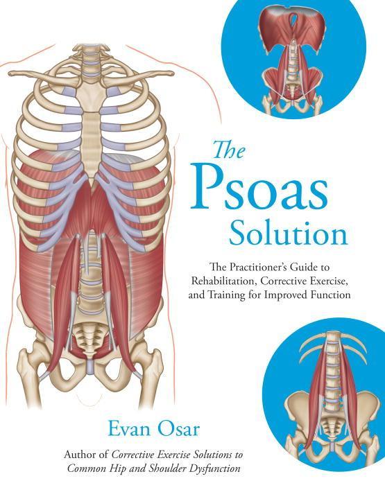 Vorderes Coverbild The Psoas Solution