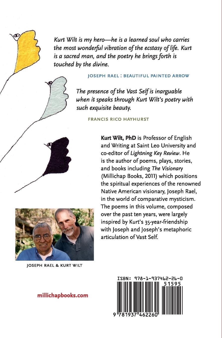 Rückseitencover Vast Self