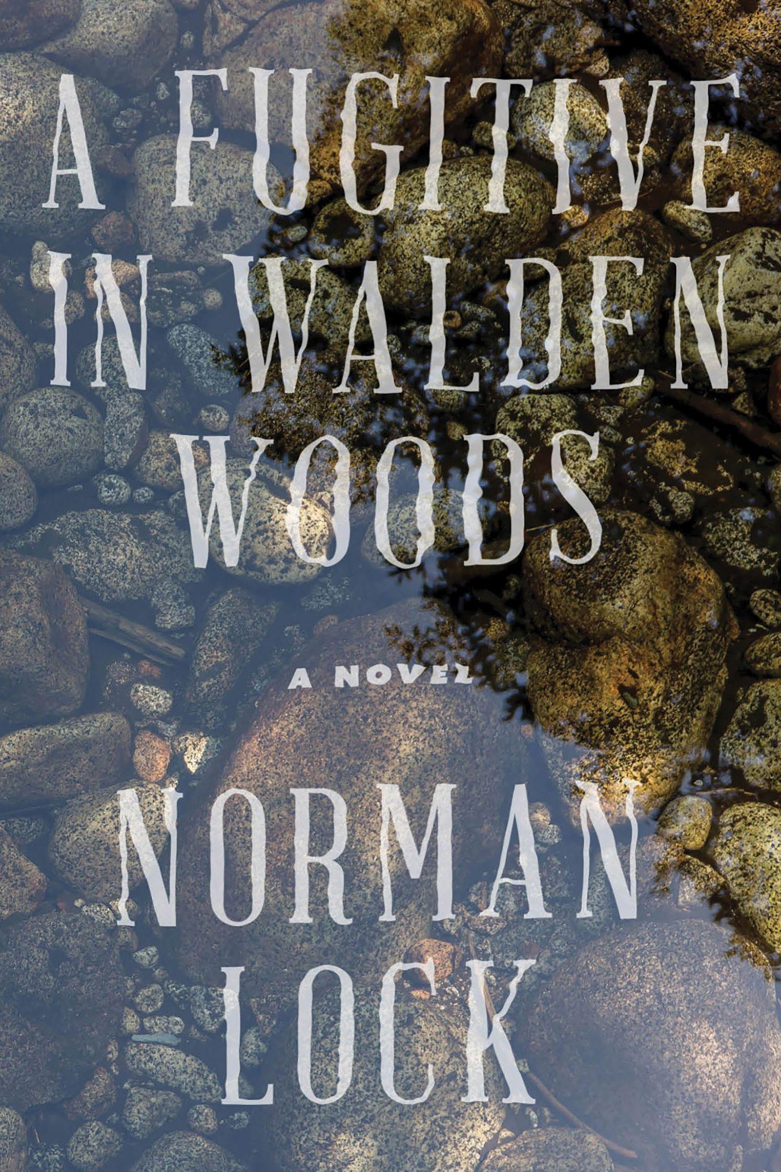 Vorderes Coverbild A Fugitive in Walden Woods