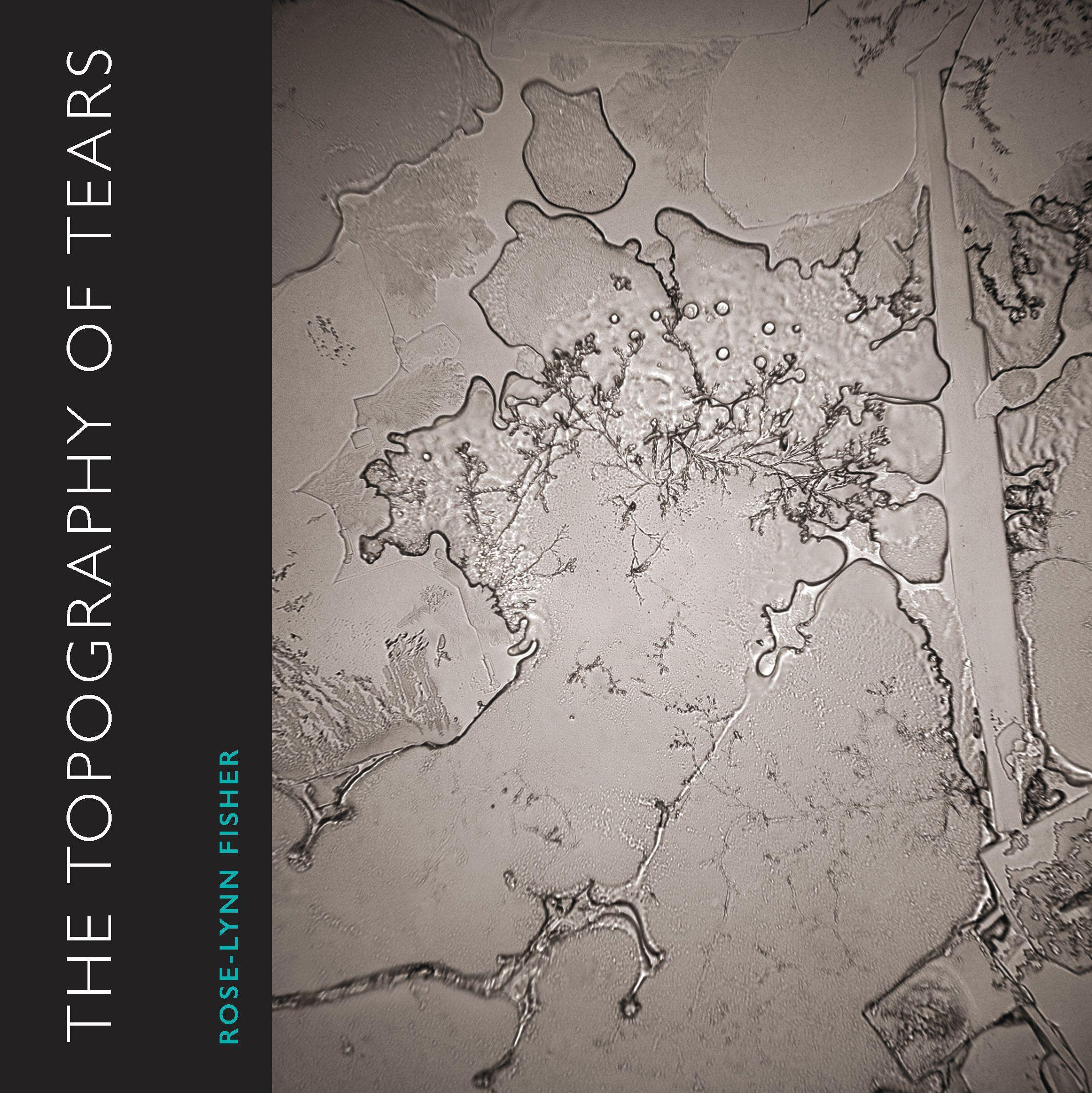 Vorderes Coverbild The Topography of Tears