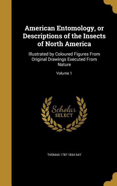 Vorderes Coverbild American Entomology, or Descriptions of the Insects of North America