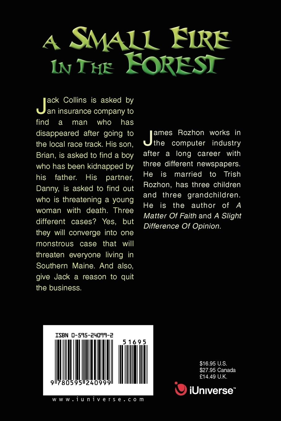 Rückseitencover A Small Fire in the Forest