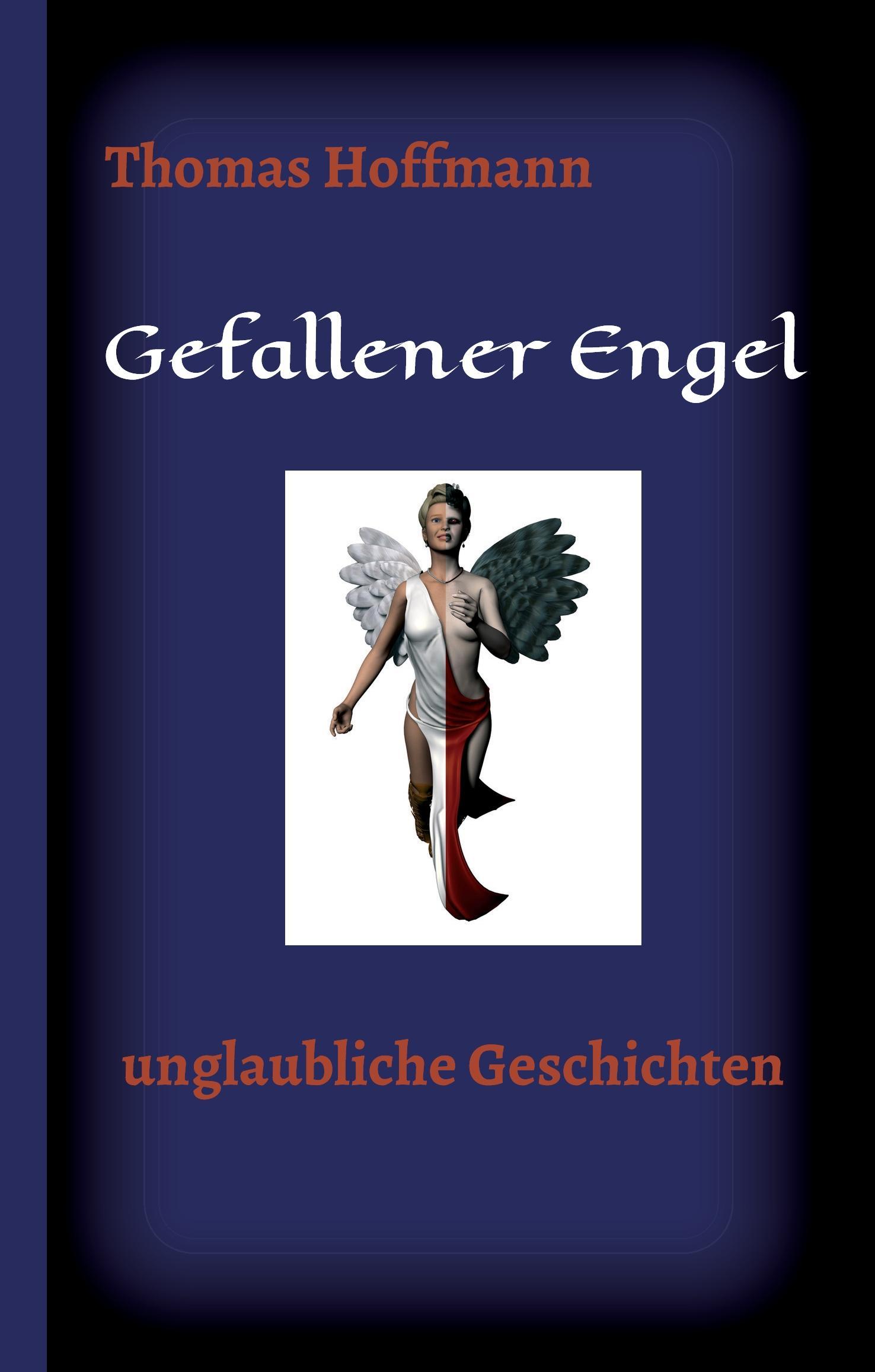 Vorderes Coverbild Gefallener Engel