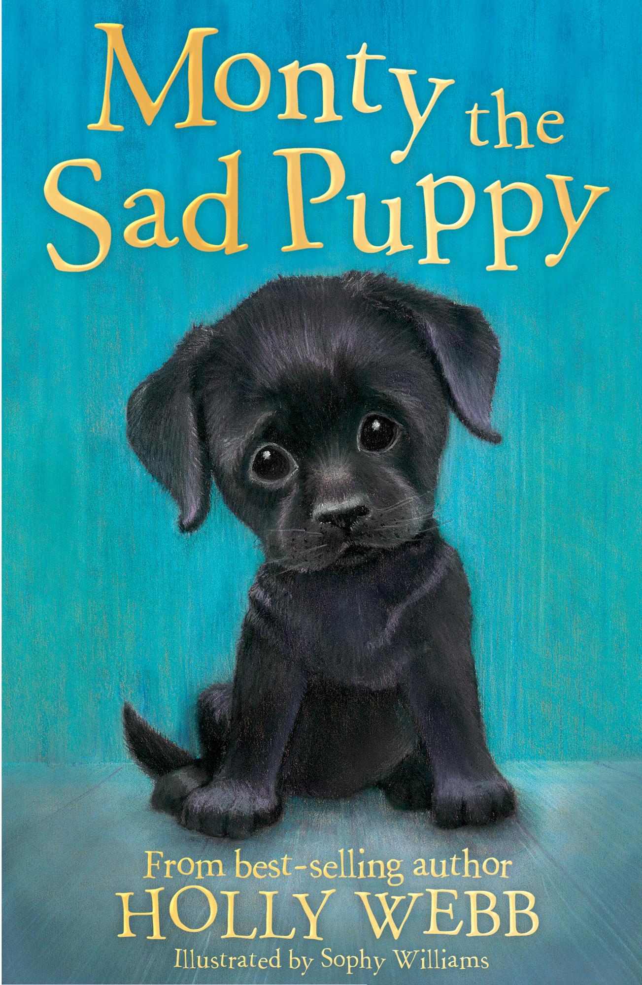 Vorderes Coverbild Monty the Sad Puppy