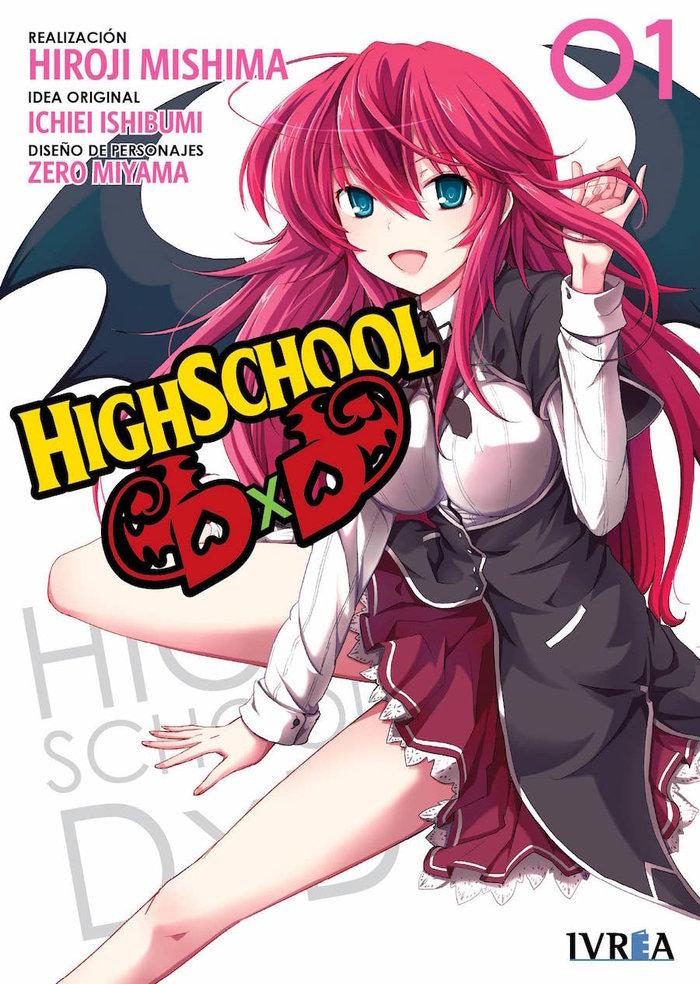Vorderes Coverbild High school DxD