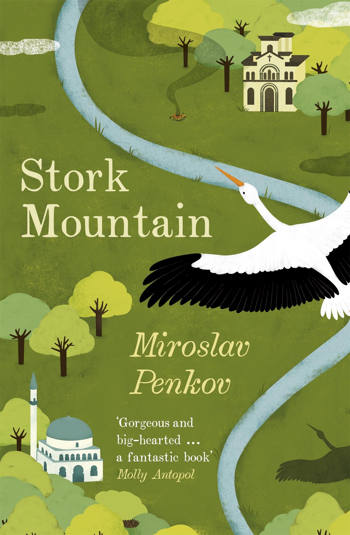 Vorderes Coverbild Stork Mountain
