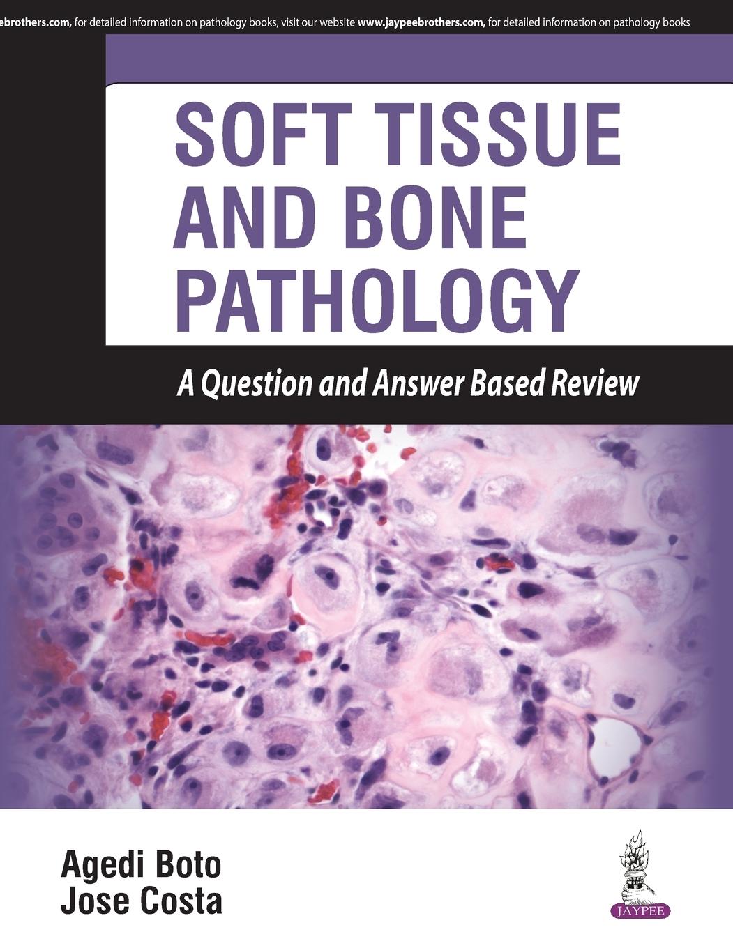 Vorderes Coverbild SOFT TISSUE AND BONE PATHOLOGY A QUESTION AND ANSWER BASED REVIEW