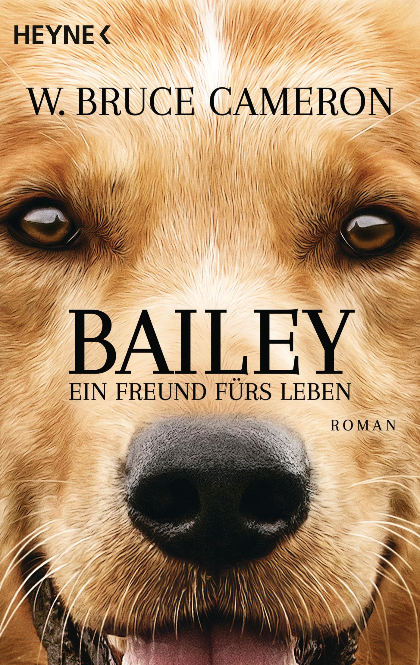 Vorderes Coverbild Bailey - Ein Freund fürs Leben