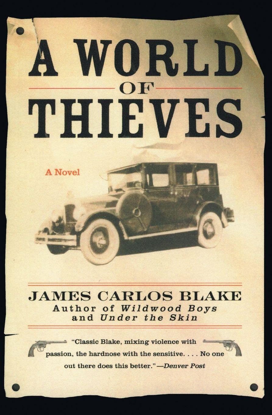 Vorderes Coverbild A World of Thieves