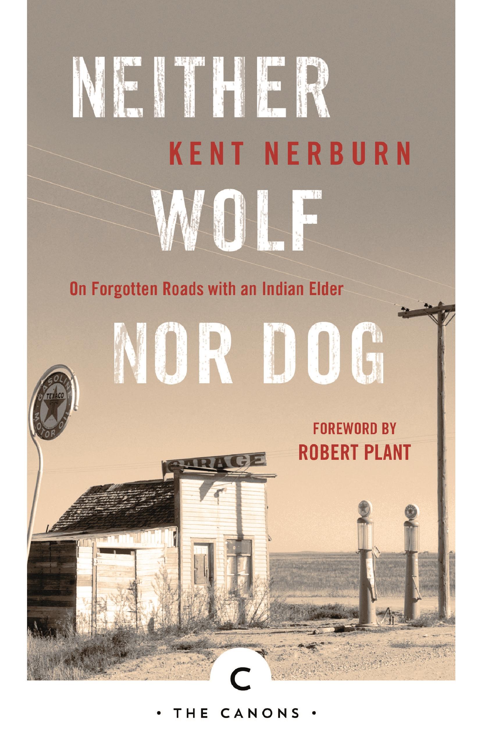 Vorderes Coverbild Neither Wolf Nor Dog
