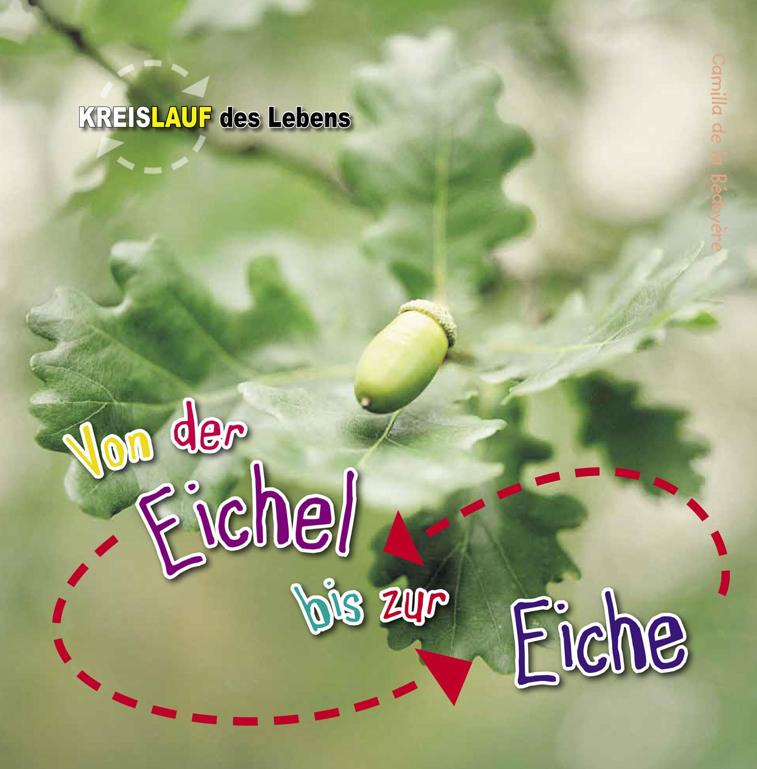 Vorderes Coverbild Von der Eichel bis zur Eiche