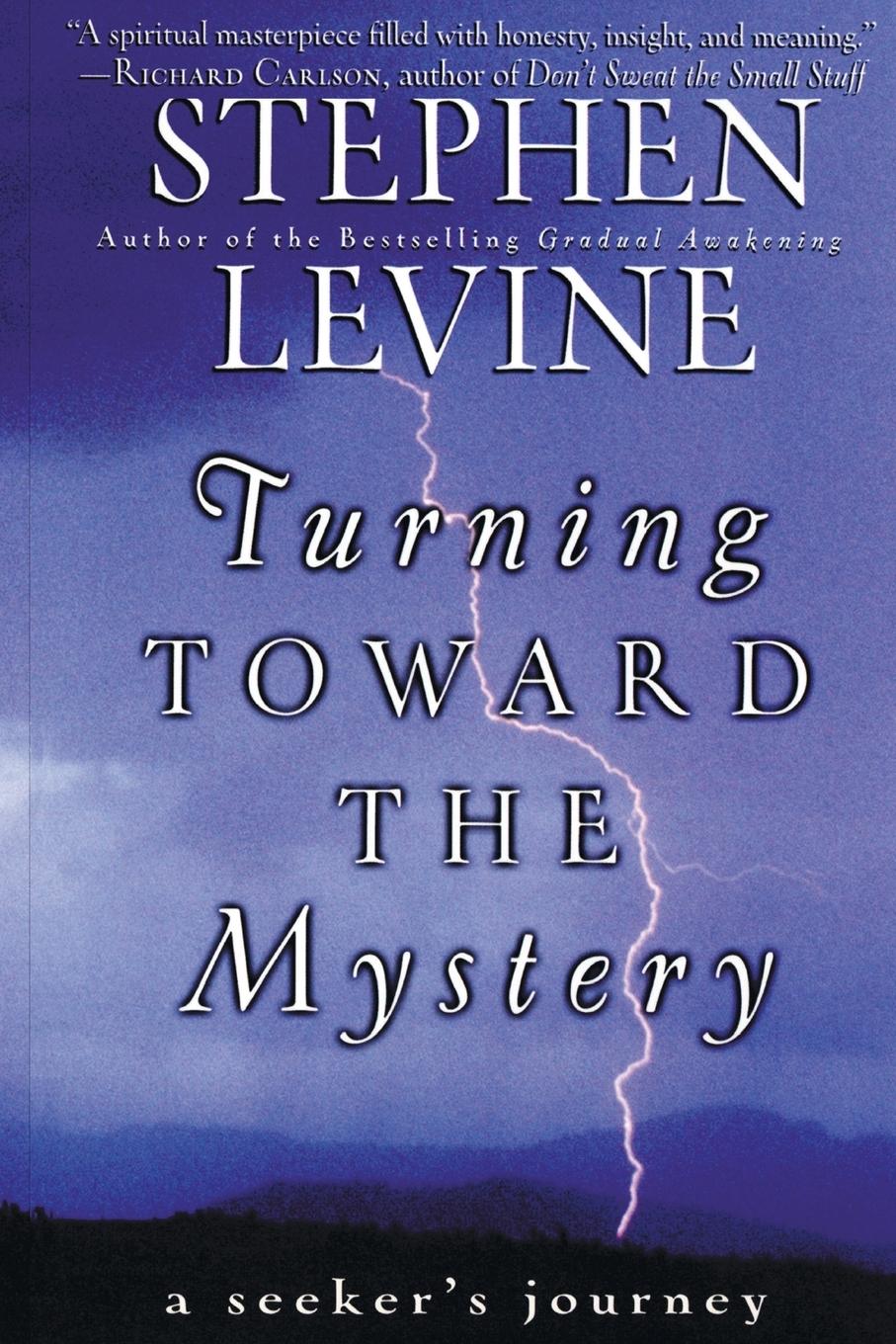 Vorderes Coverbild Turning Toward the Mystery