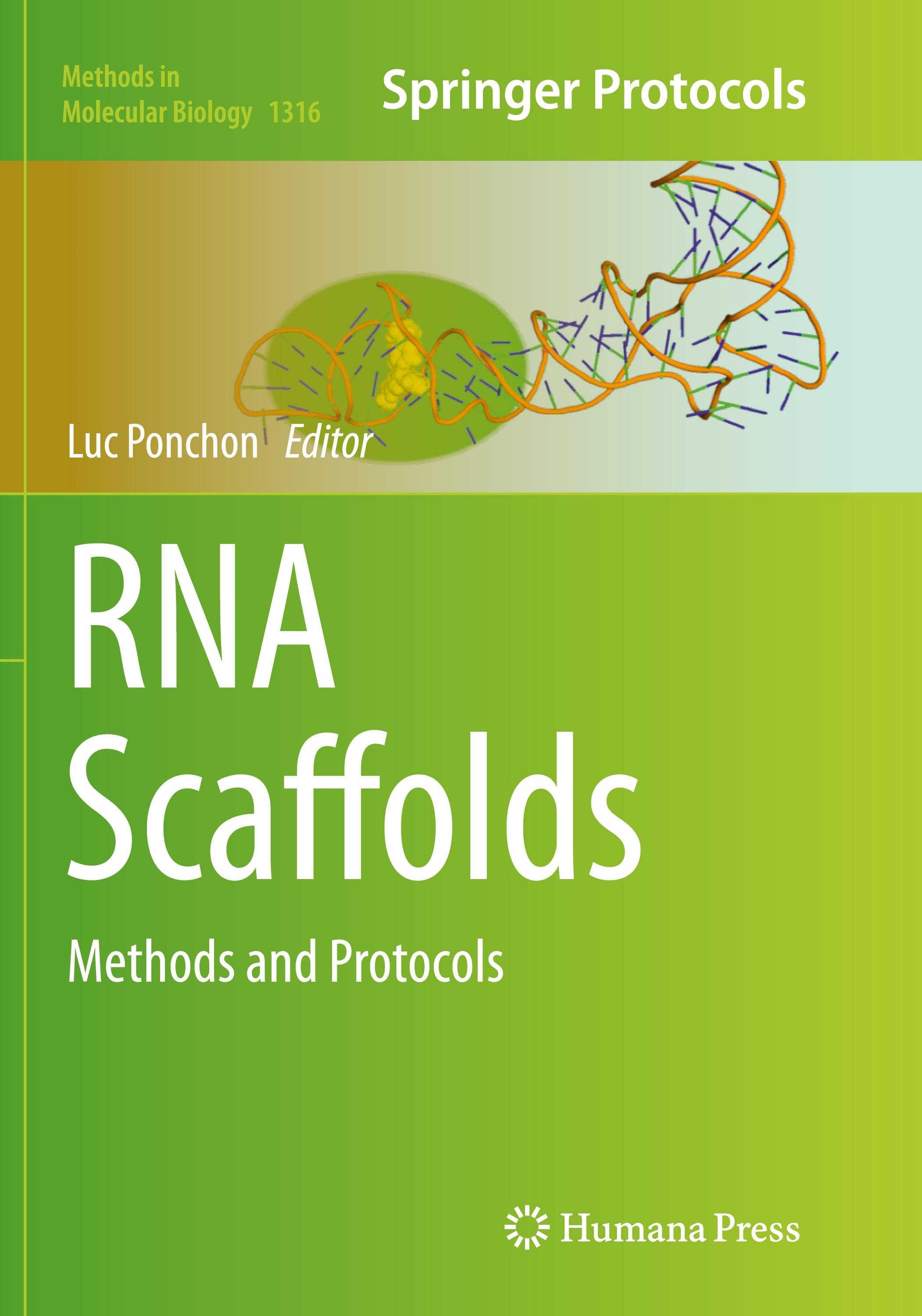 Vorderes Coverbild RNA Scaffolds