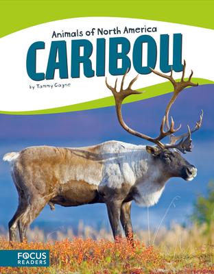 Vorderes Coverbild Caribou