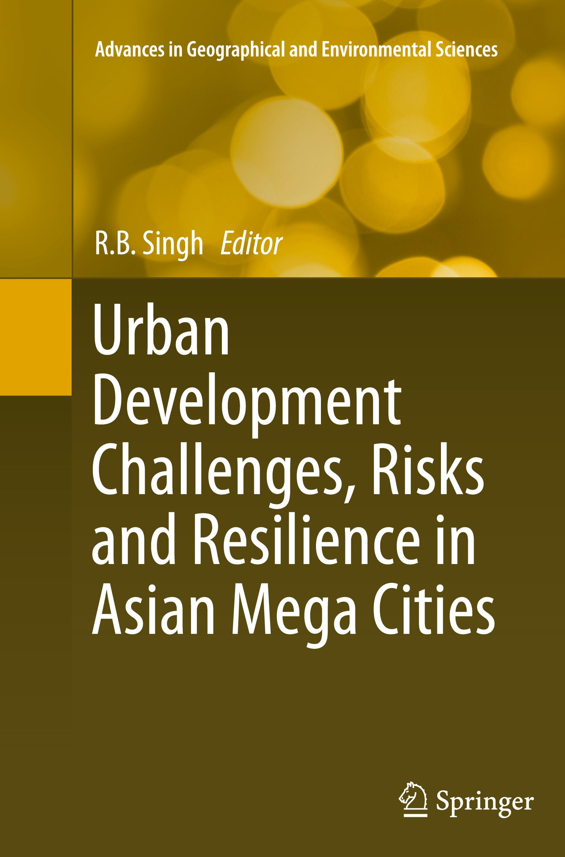Vorderes Coverbild Urban Development Challenges, Risks and Resilience in Asian Mega Cities