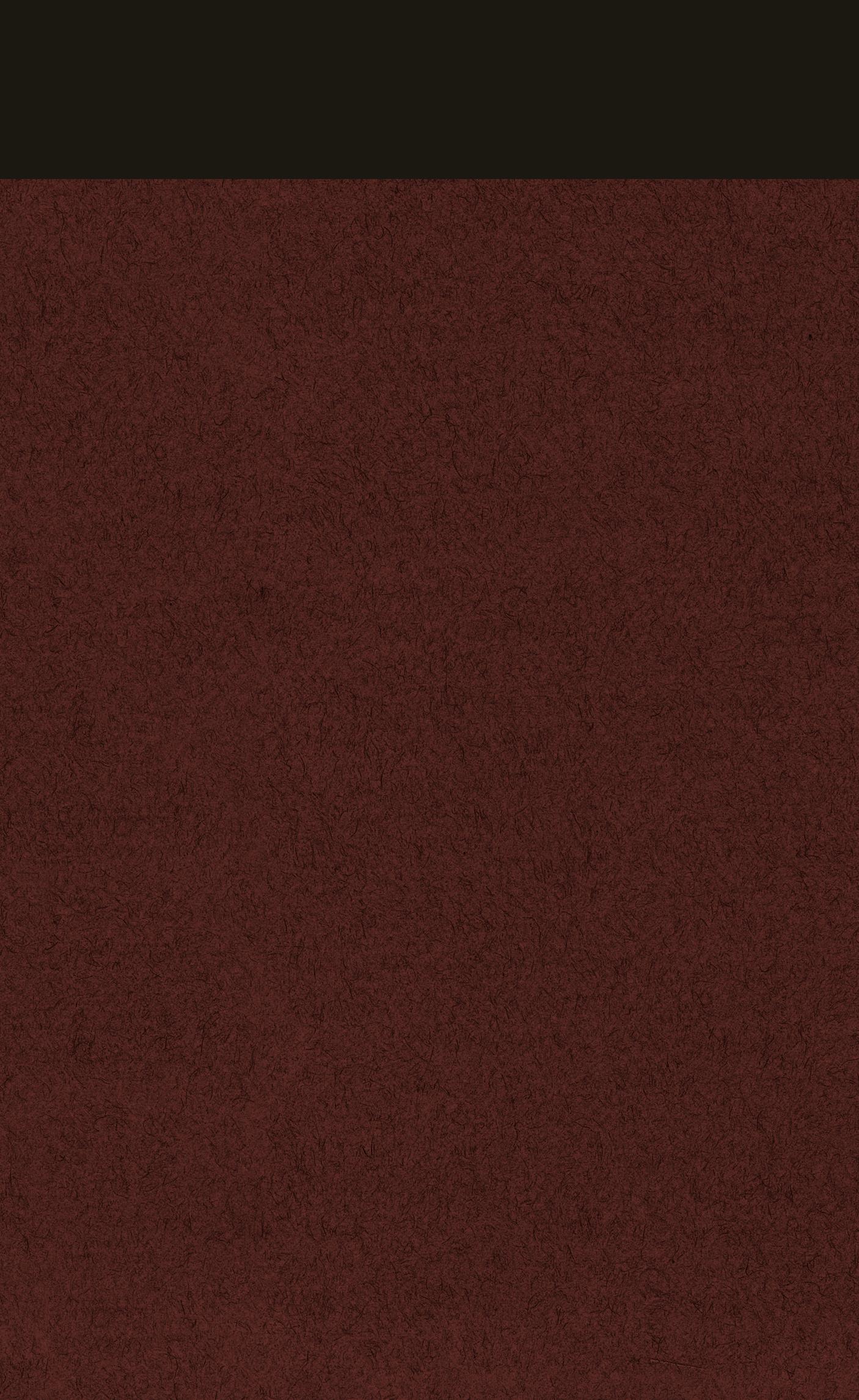 Rückseitencover Gesammelte Werke 08. Lolita