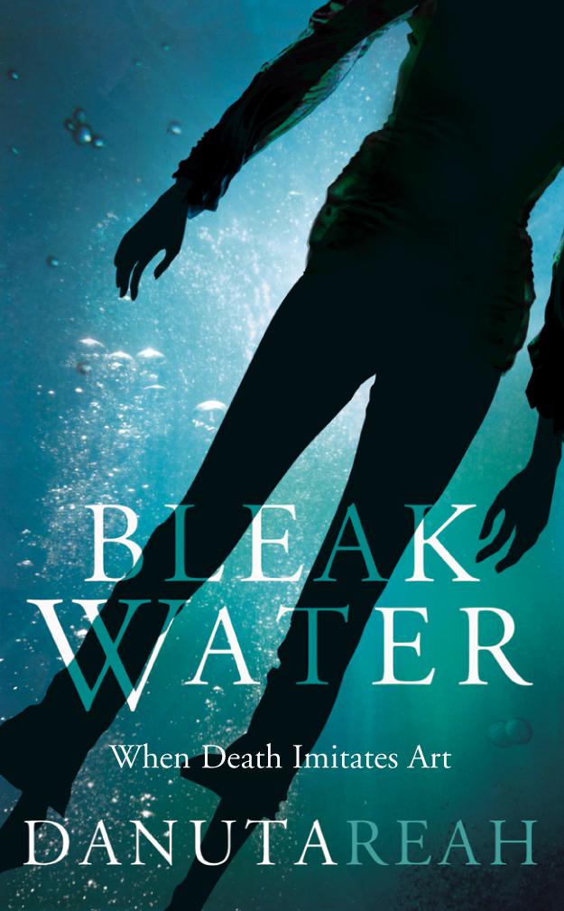 Vorderes Coverbild Bleak Water