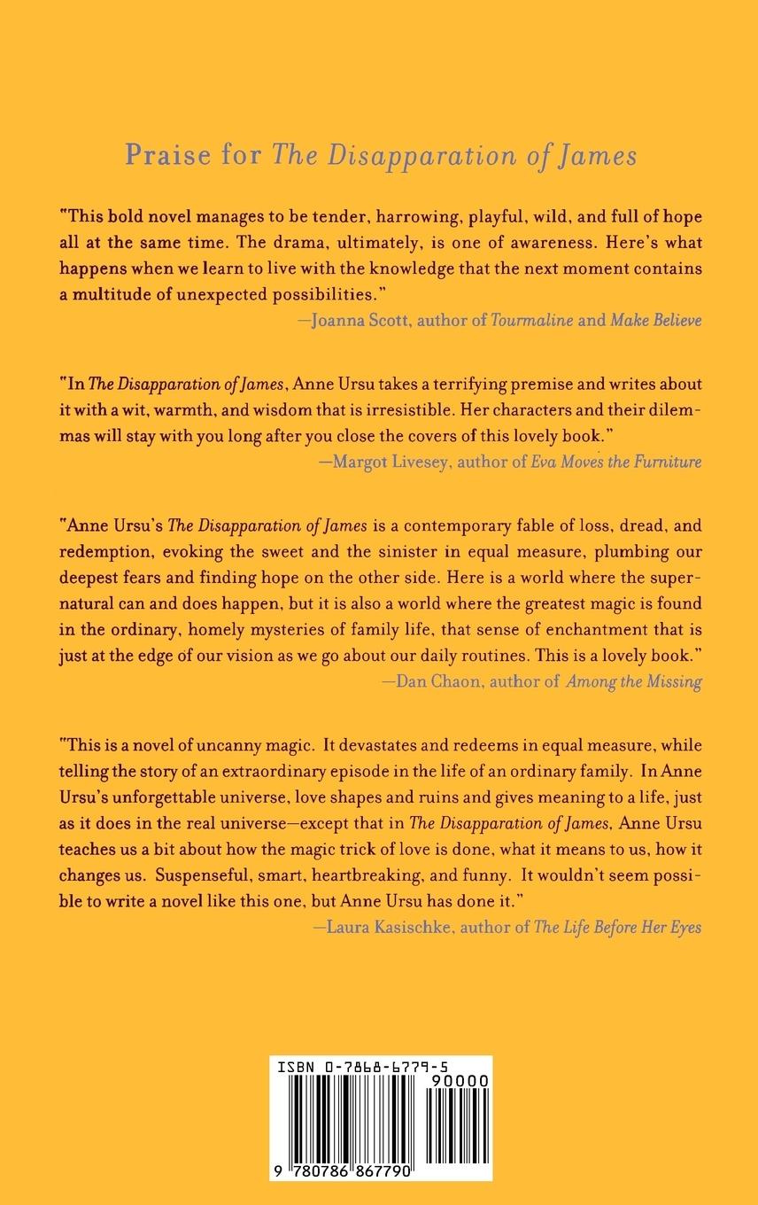 Rückseitencover The Disapparation of James