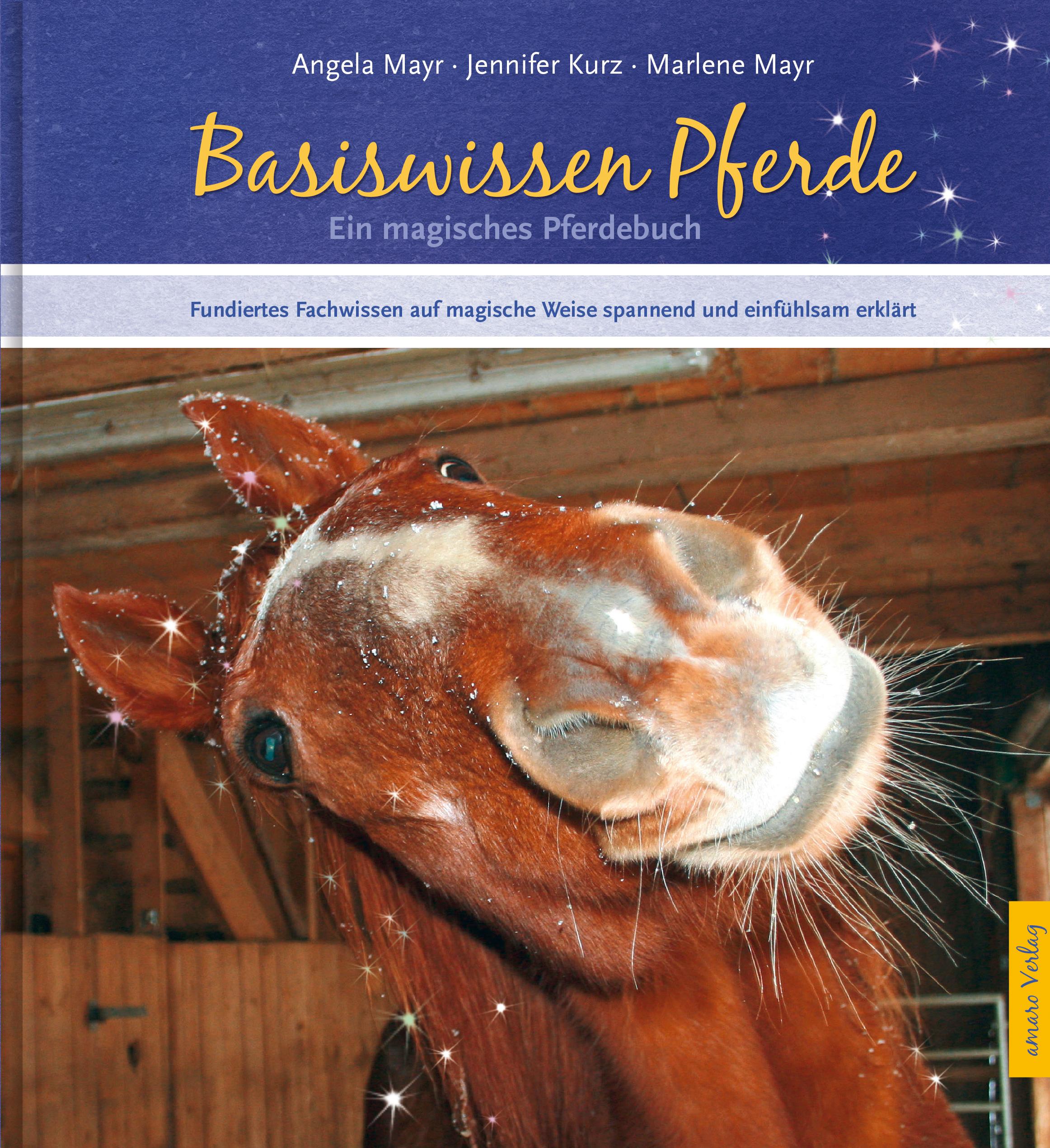 Vorderes Coverbild Das magische Pferdebuch