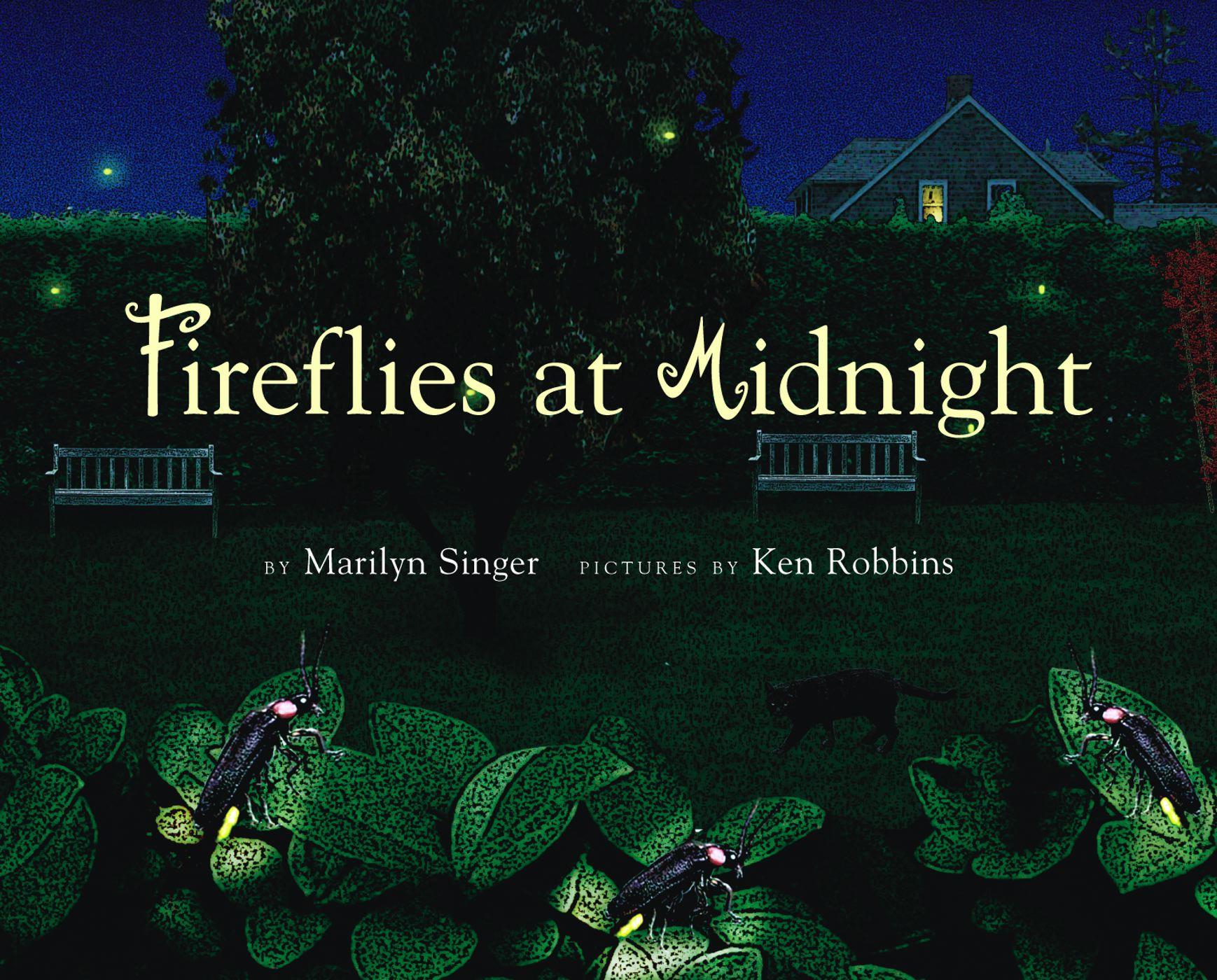 Vorderes Coverbild Fireflies at Midnight