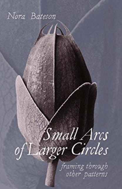 Vorderes Coverbild Small Arcs of Larger Circles