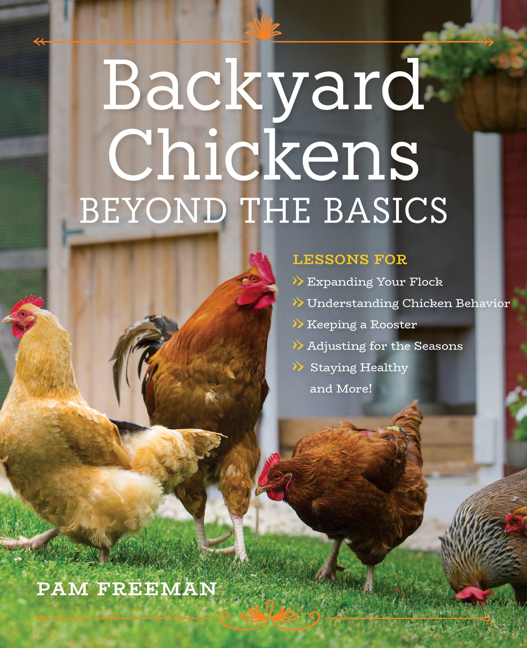 Vorderes Coverbild Backyard Chickens Beyond the Basics
