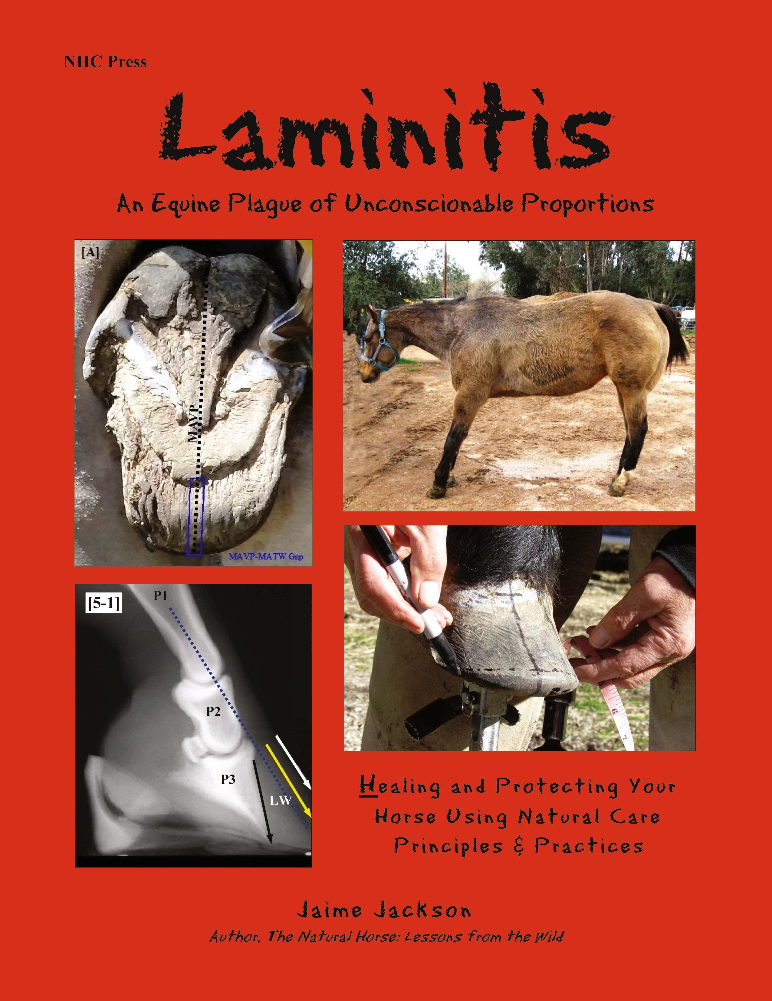Vorderes Coverbild Laminitis