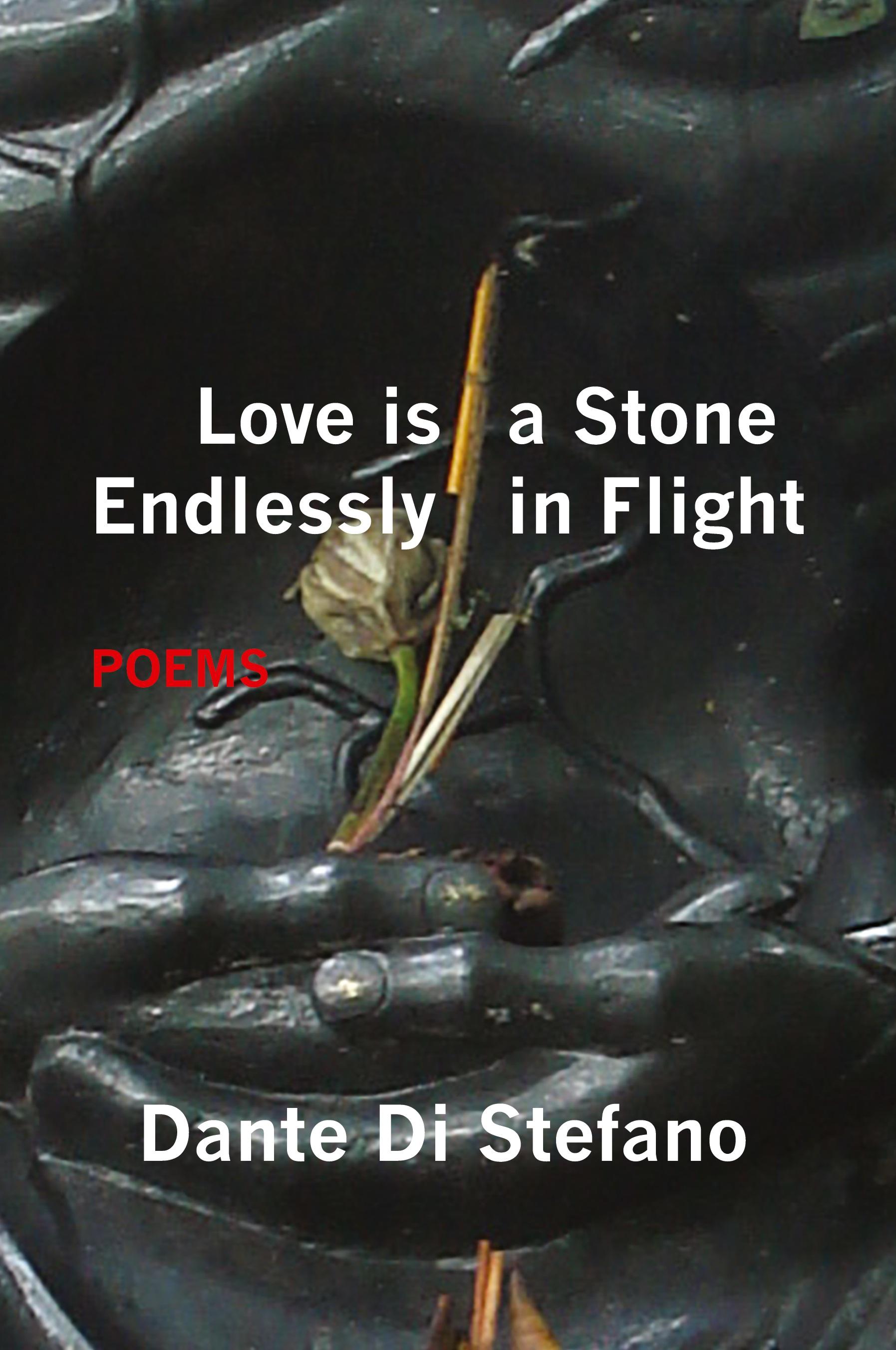 Vorderes Coverbild Love Is a Stone Endlessly in Flight