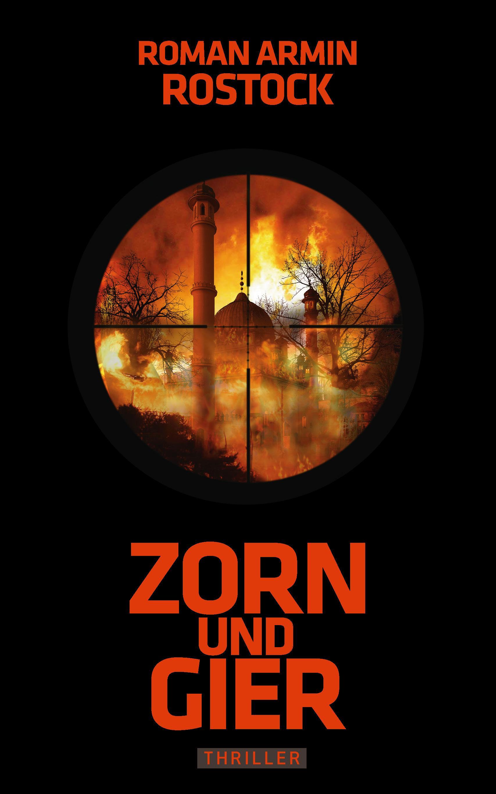 Vorderes Coverbild Zorn und Gier