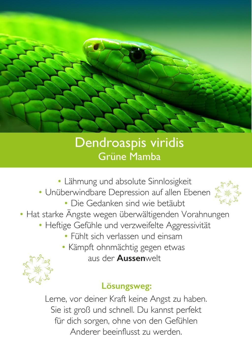 Beispielinhalt (Bild) Ahnenmedizin und Seelenhomöopathie