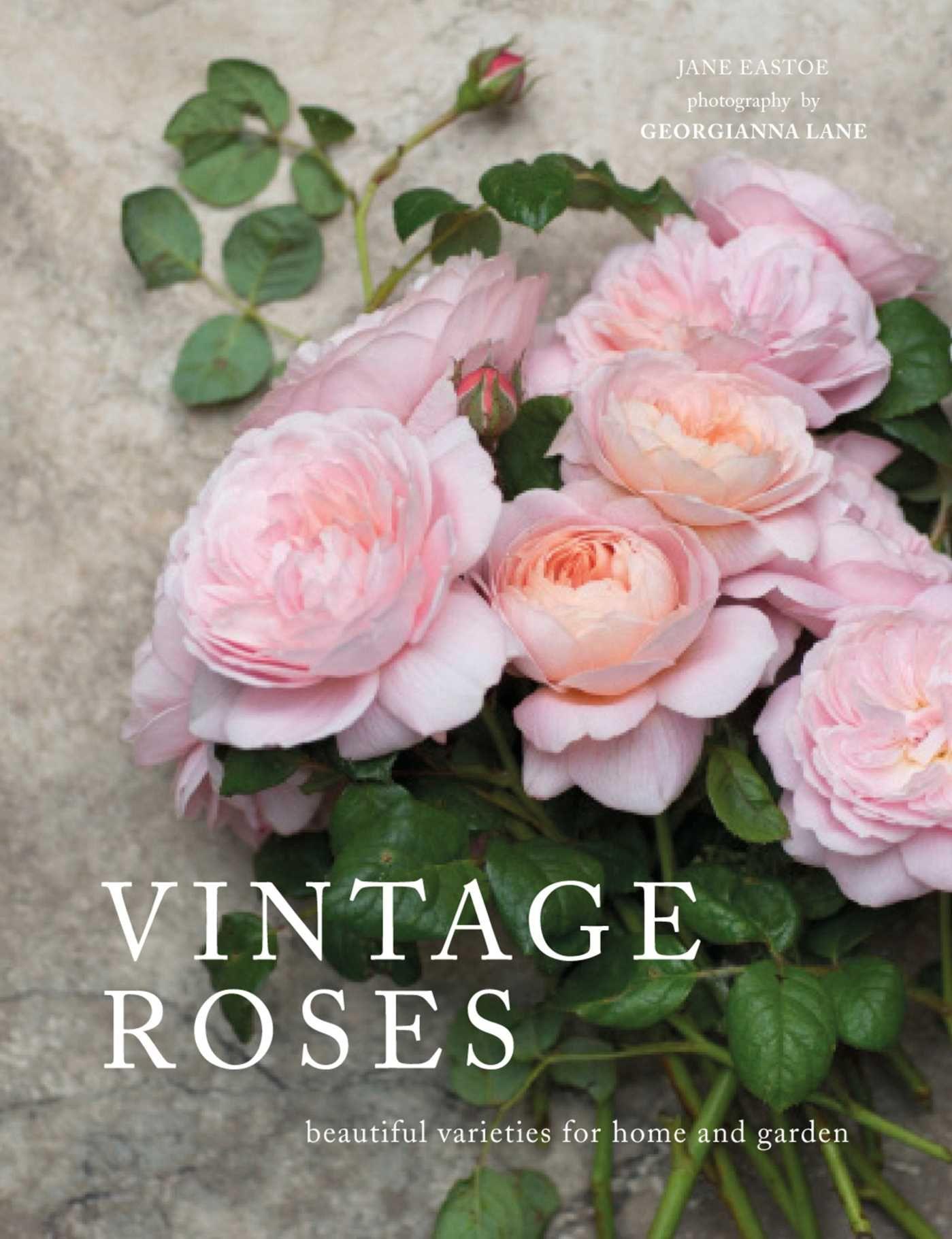 Vorderes Coverbild Vintage Roses