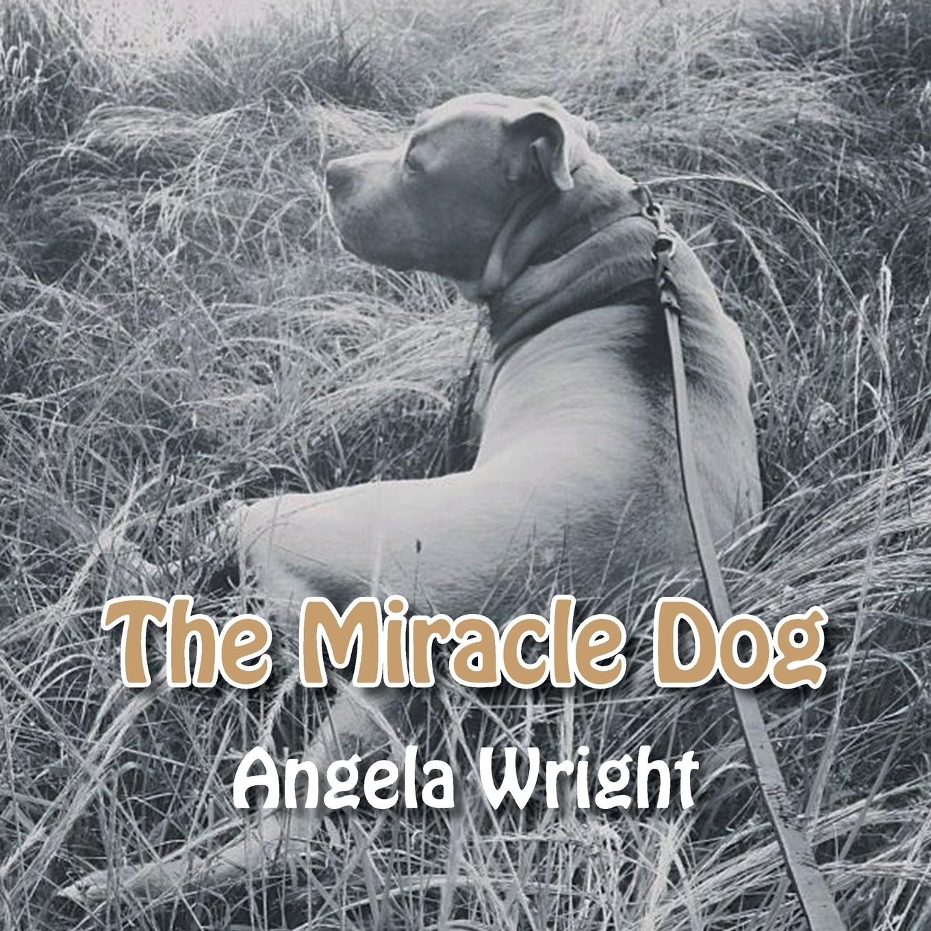 Vorderes Coverbild MIRACLE DOG