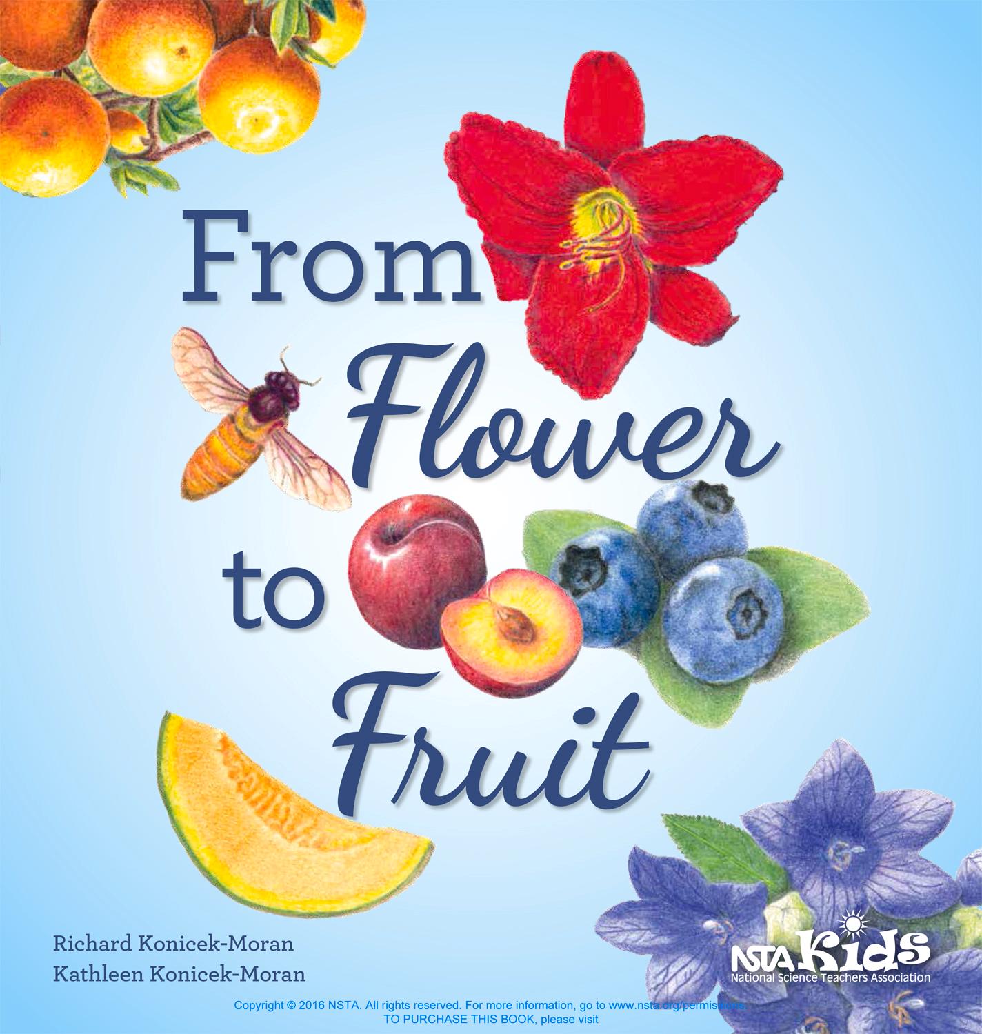 Vorderes Coverbild From Flower to Fruit