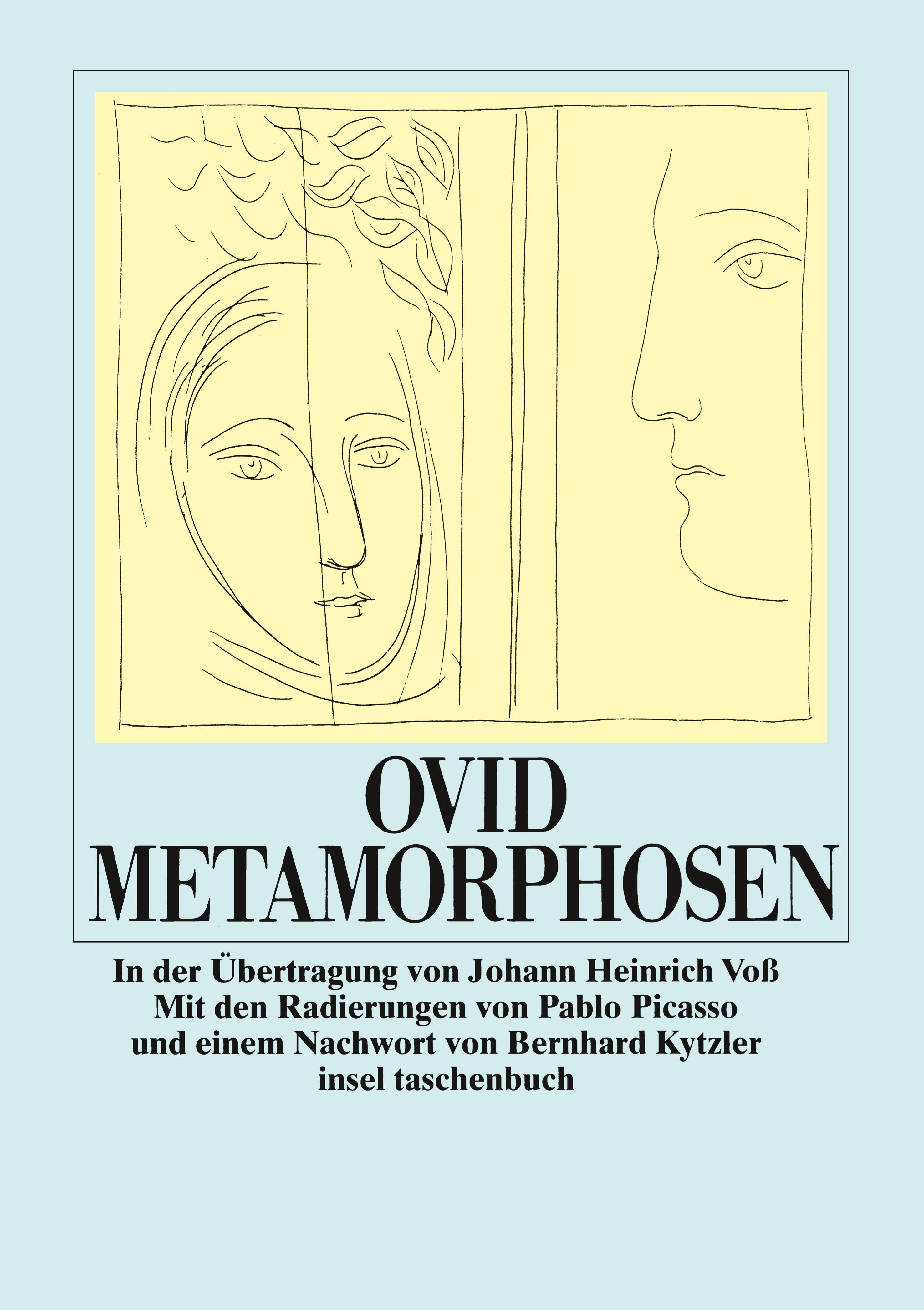 Vorderes Coverbild Metamorphosen