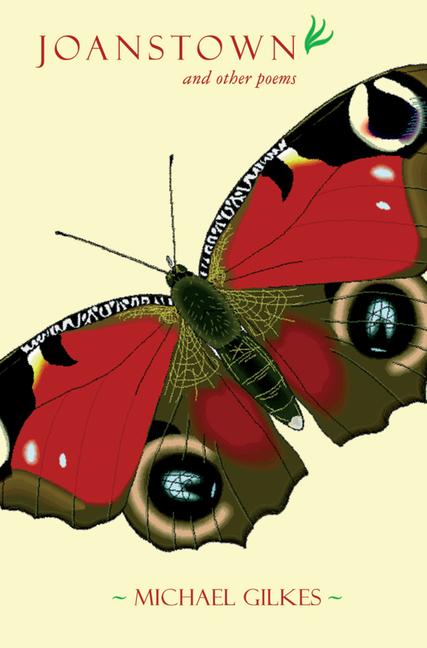 Vorderes Coverbild Joanstown