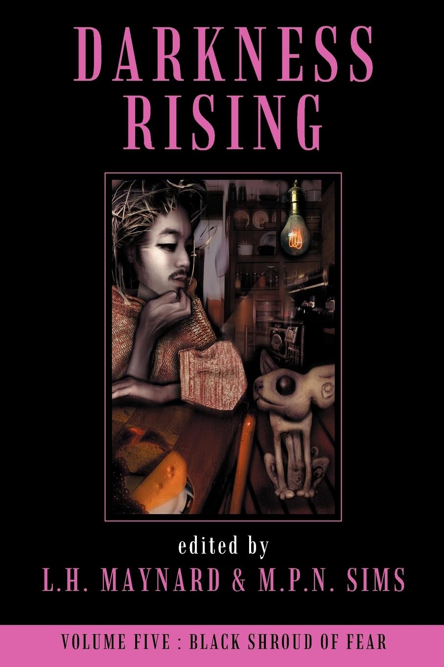 Vorderes Coverbild Darkness Rising 5