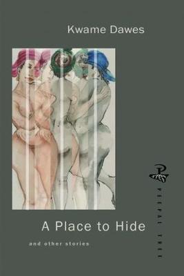 Vorderes Coverbild A Place to Hide