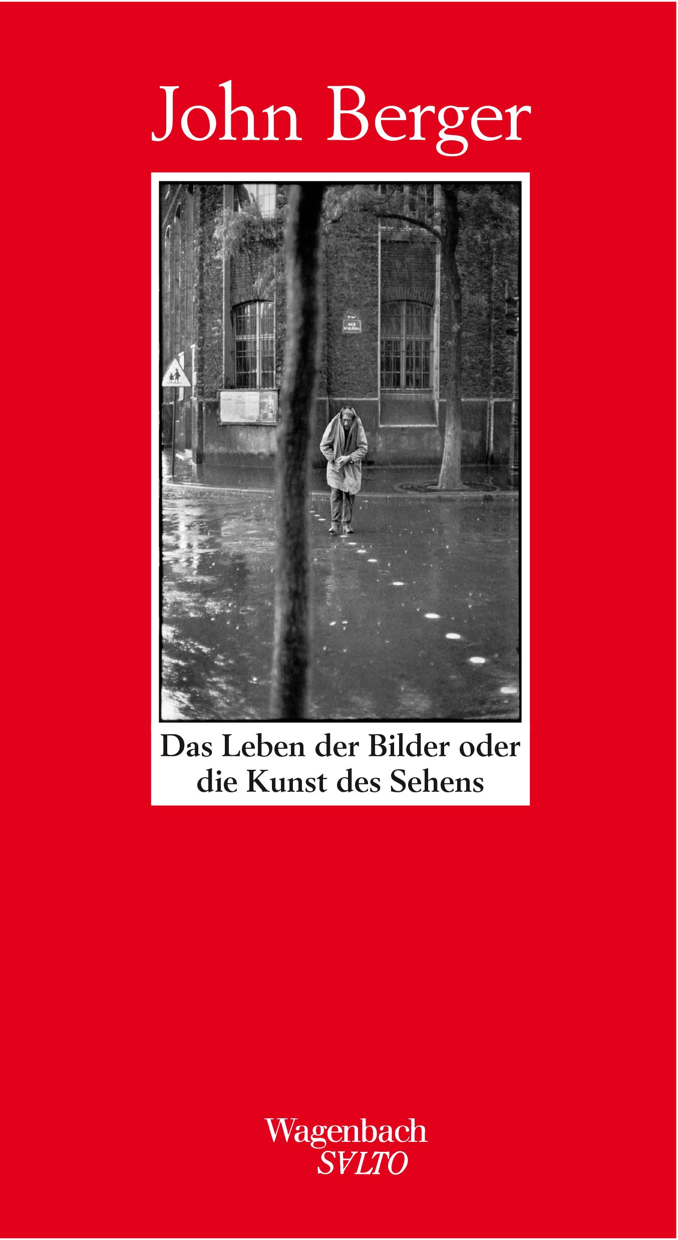 Vorderes Coverbild Das Leben der Bilder oder die Kunst des Sehens