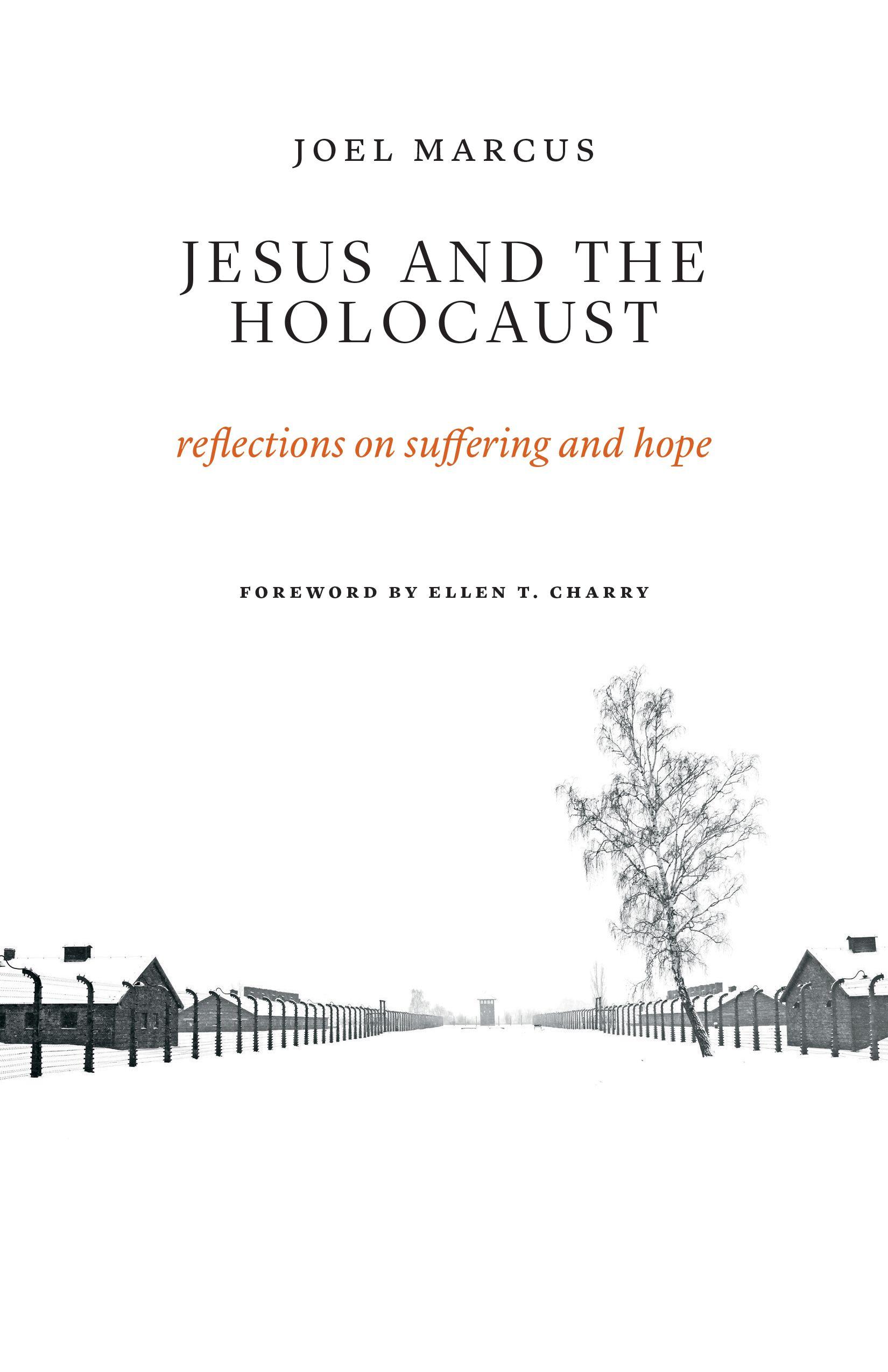 Vorderes Coverbild Jesus and the Holocaust